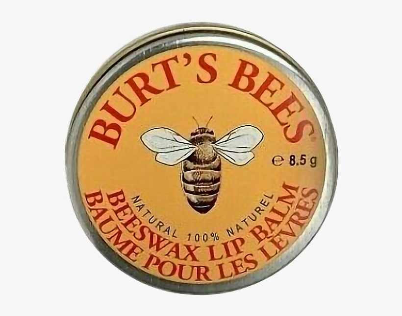 Png Freetoedit Moodboard Bees Aesthetic Stickers - Burt Bees, transparent png #5529780