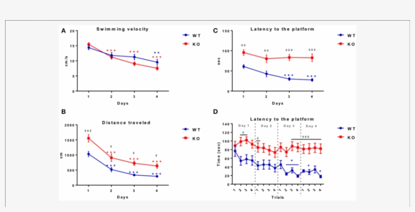 Shows The Swimming Velocity (cm/sec) Of Wt (blue - Morris Water Maze Swimming Velocity, transparent png #5529991