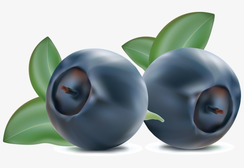 Blueberries Png, Download Png Image With Transparent - Clipart Blueberries Png, transparent png #5530662