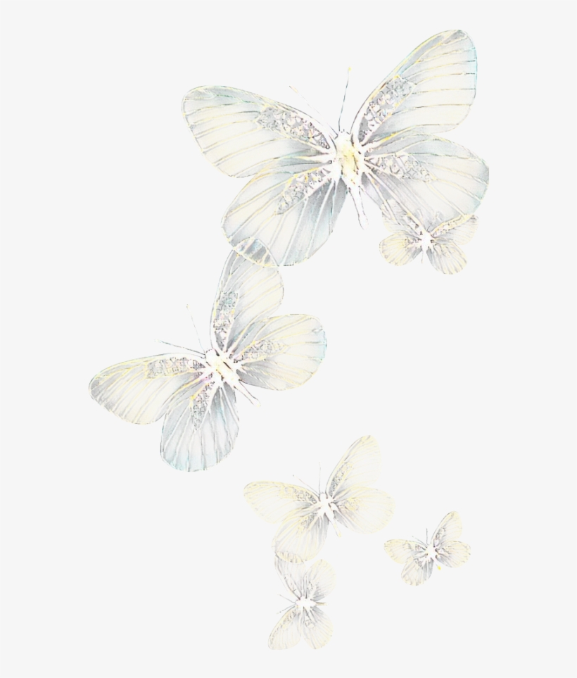 Ftestickers Butterflies Light Glowing - Light, transparent png #5530831