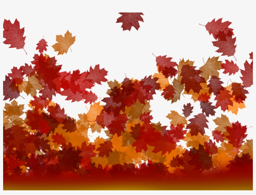 Leafs - Toronto Maple Leafs, transparent png #5530993