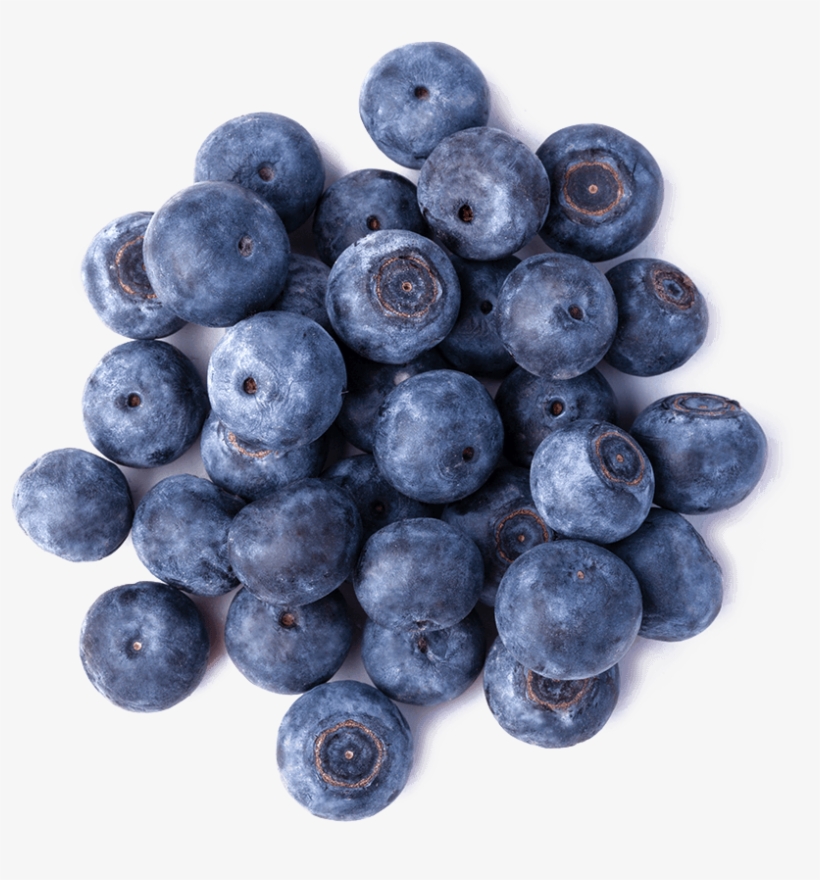 Bilberry - Wellness, transparent png #5531051