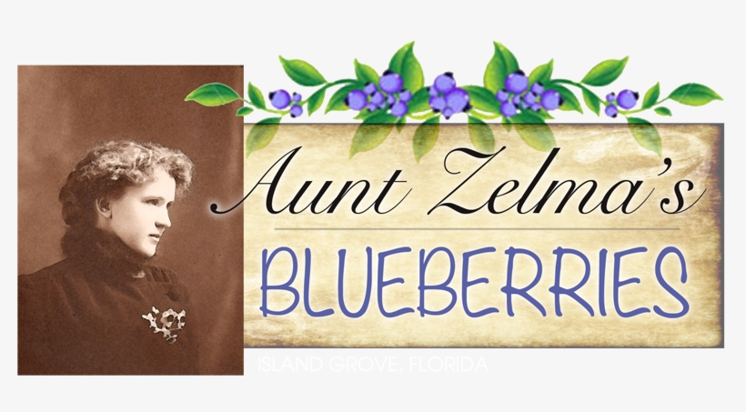 Aunt Zelma's Blueberries - Aunt Zelma’s Blueberries, transparent png #5531462