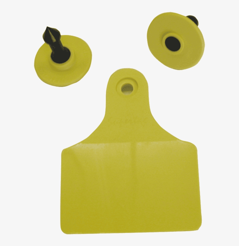 Ketchum Printing And All-weather Tag Marker Is Highly, transparent png #5532728