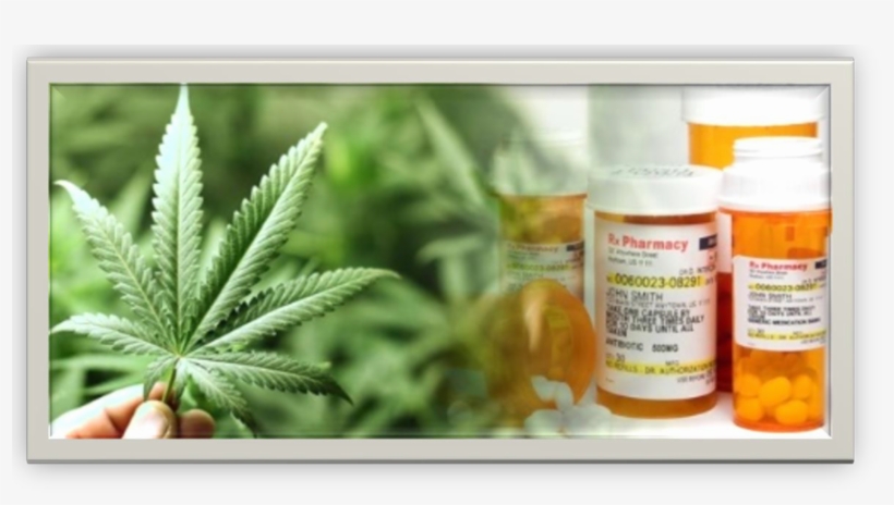 New On-line Cannabis Workplace Safety Course - Guide To Growing Your Own Marijuana, transparent png #5533042