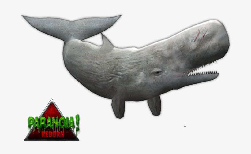 Moby Dick - Zt2downloadlibrary Whale, transparent png #5533836