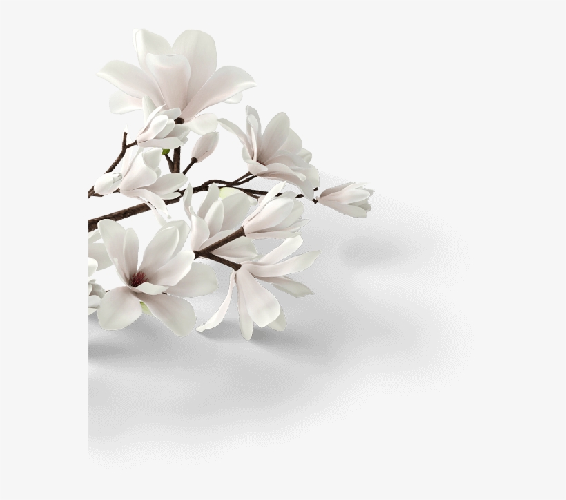 Read All - “ - Artificial Flower, transparent png #5534340