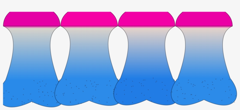 48107856, transparent png #5534726