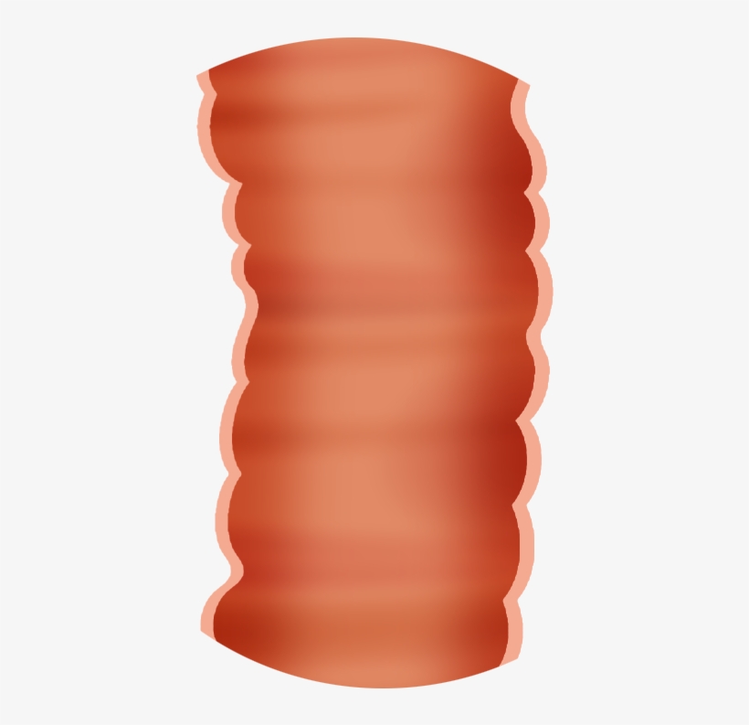 Stem Cells - Stairs, transparent png #5534730