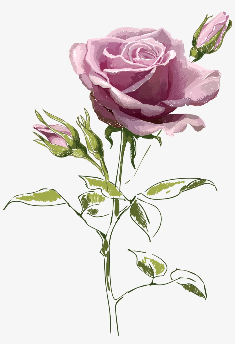 Flores Y Mariposas Encontradas En La Web - Vintage Rose Postcard, transparent png #5536600