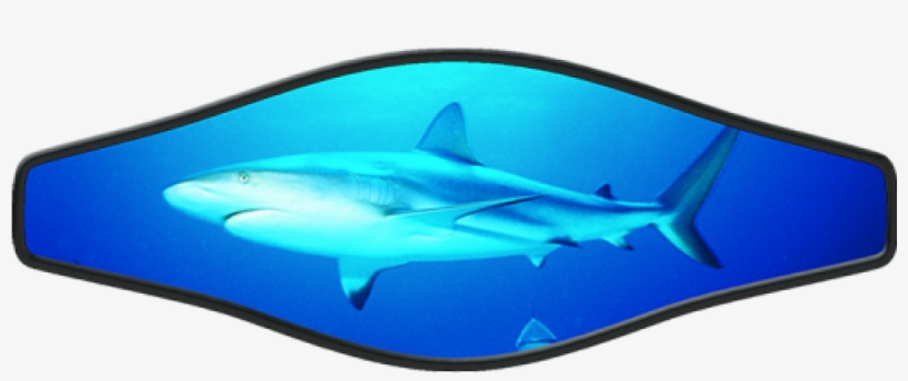 Slap Strap - Live Shark - Strap Wrapper Live Shark, transparent png #5536602