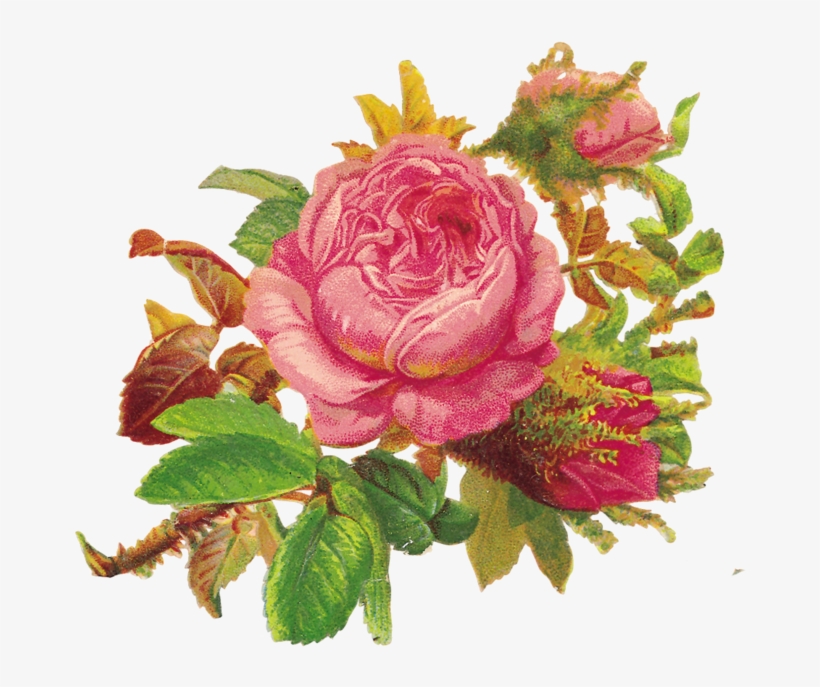 Plaatjes Bokmärken Chromos Decoupi Laminas Antiguas - Caravan Birthday Twinset & Pearls, transparent png #5536649