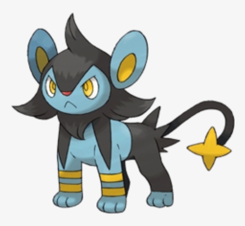 Luxio - Shinx Pokemon, transparent png #5537685