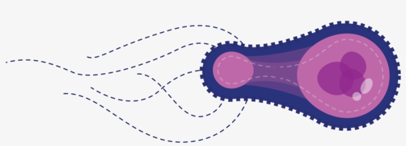 Virus 2-02, transparent png #5538176