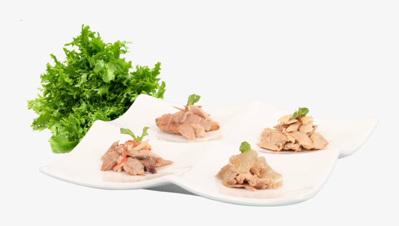 Pet Cat Can Food - Cat, transparent png #5539090