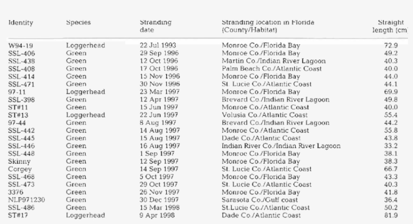 Stranded Sea Turtles Tested For Chelonian Herpesvirus - Document, transparent png #5539233