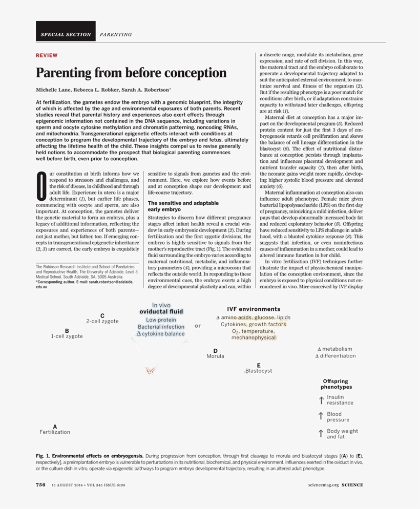 Document, transparent png #5539448