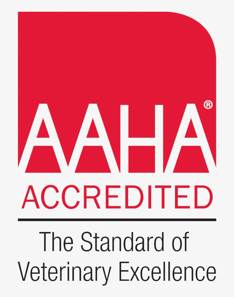 For Emergencies, Call 812 346 - Aaha Accredited Logo, transparent png #5540676