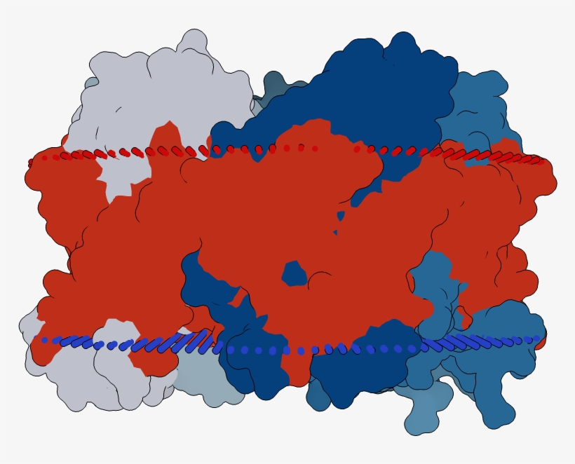 Transmembrane Flat Surface Display Opm - Cumulus, transparent png #5541940