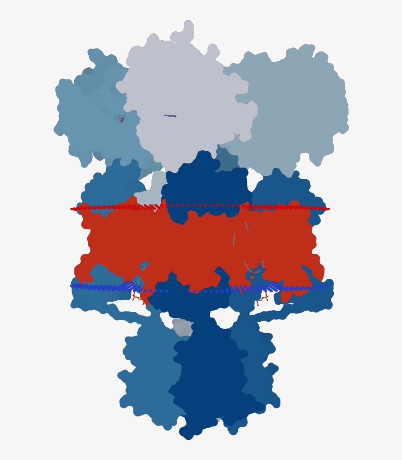 Transmembrane Flat Surface Display Opm - Graphic Design, transparent png #5542121