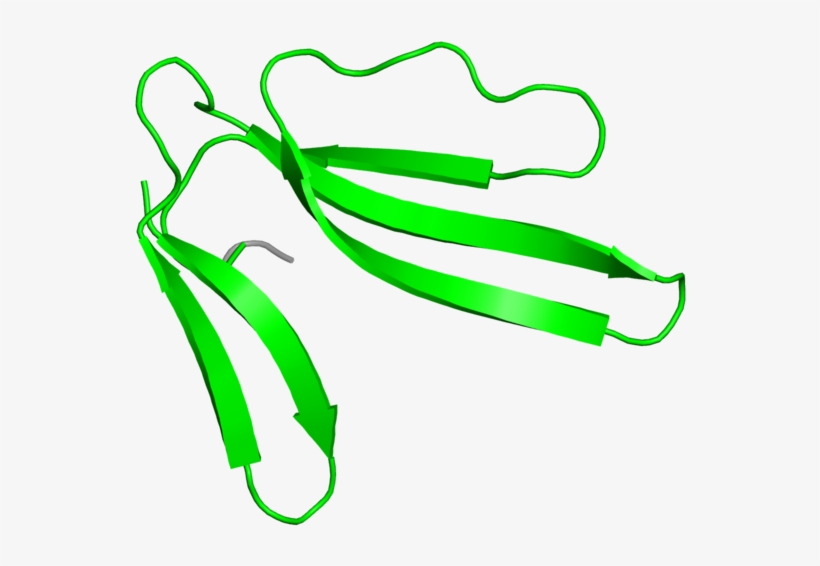Illustration, transparent png #5542489