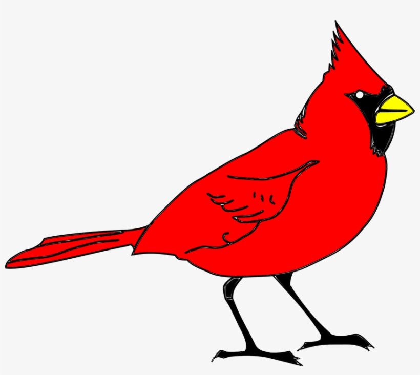 Feathered Friend Cardinals' Choice Is A Premium Blend - Clip Art Cardinal, transparent png #5543143
