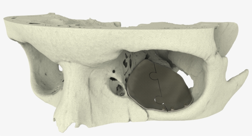 Firefox Icon - Xilloc, transparent png #5544342