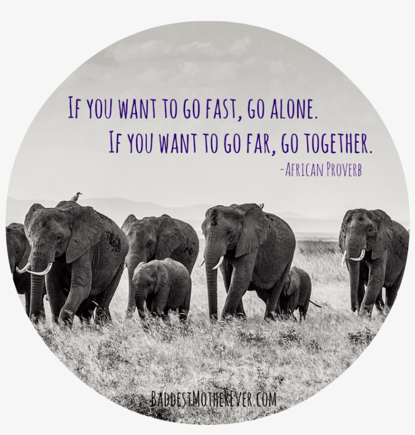 Elephant Inspiration, transparent png #5545516