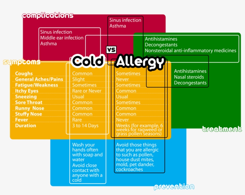 Cold Vs - Allergy - Allergy Cold, transparent png #5548321