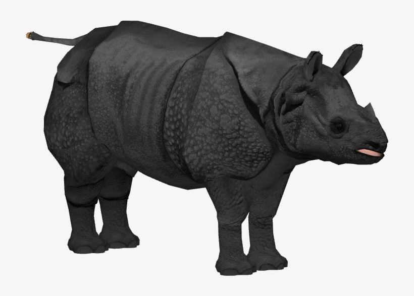 Javan Rhinoceros Adult M2 - Javan Rhino No Background, transparent png #5549366