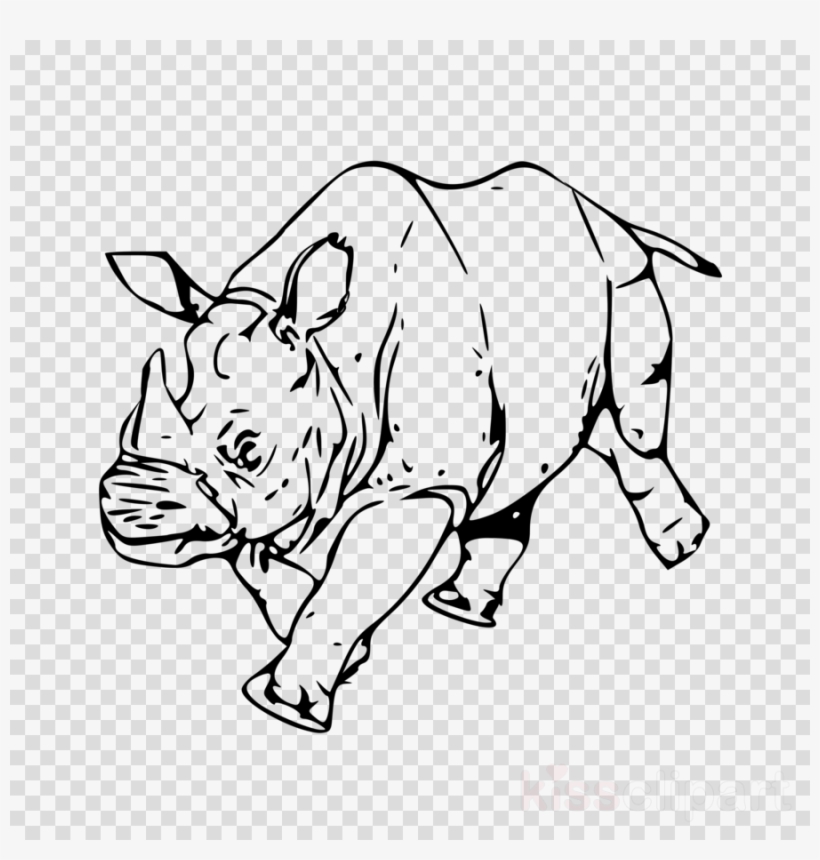 Rhinoceros Clipart Rhinoceros Canidae Clip Art - Badak Vektor, transparent png #5549560