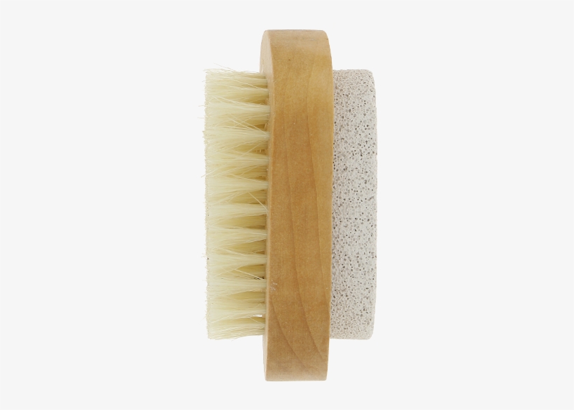 Brush, transparent png #5549813