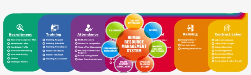Human Resource Management Of Zappos Com The Human Resource, transparent png #5551624