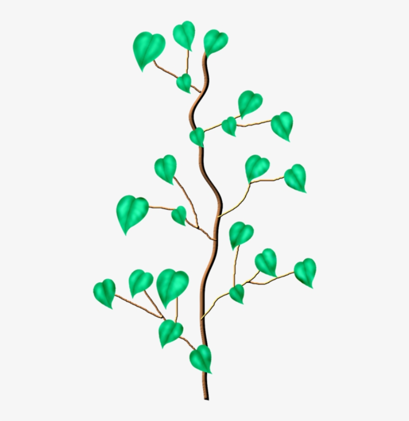 Фото, Автор I, transparent png #5552372