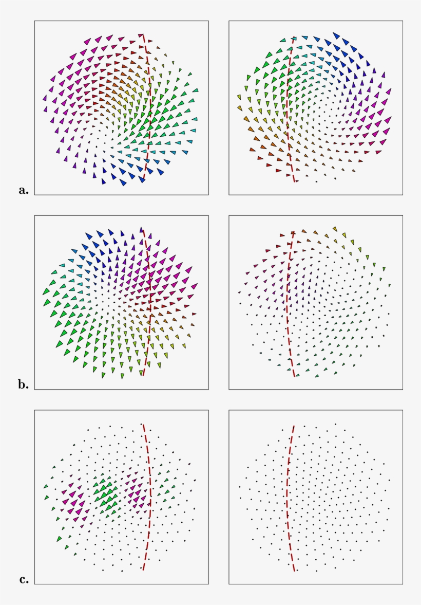 The Red Dotted Lines Mark The Margin Of Binocular Overlap, transparent png #5553174