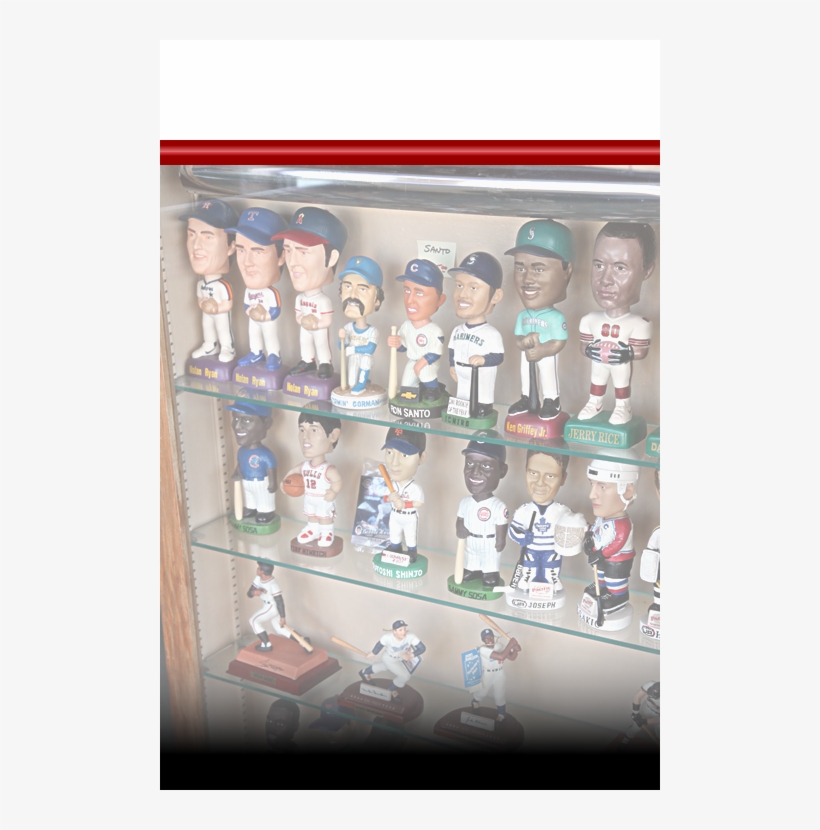 Shelf, transparent png #5554554