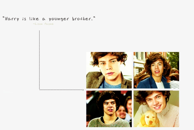 ”age Is A Number - One Direction Harry Styles Puppy Cute Music Rare 24x18, transparent png #5555037