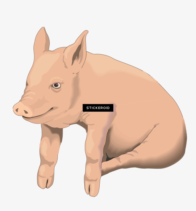 Pig - Clip Art Pig Transparent, transparent png #5555104
