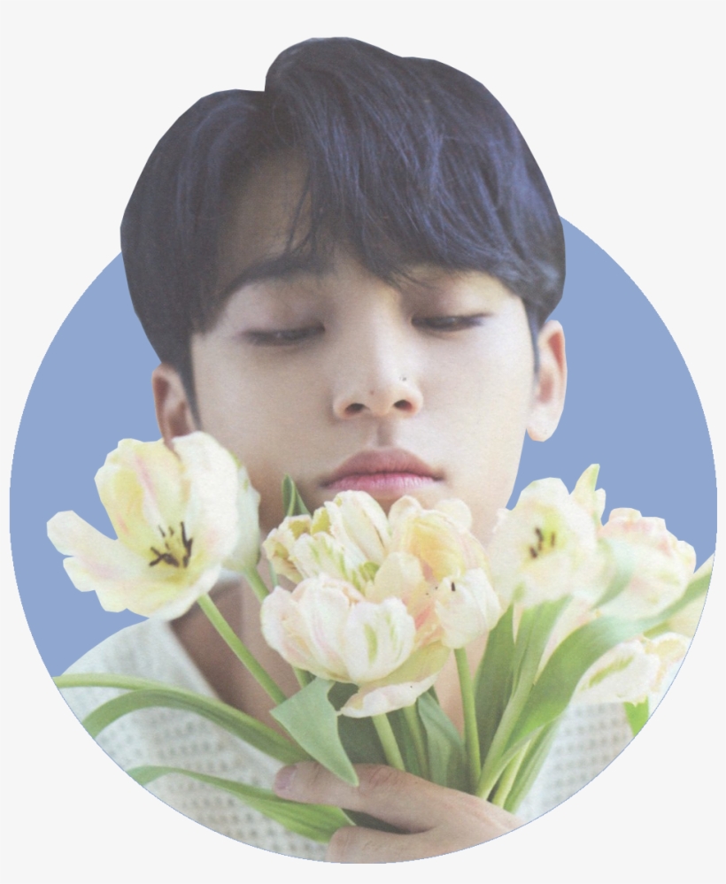 Soft For Kim Mingyu ☆ Rose Quartz And Serenity Mingyu - Mingyu Seventeen Soft Edits, transparent png #5555987