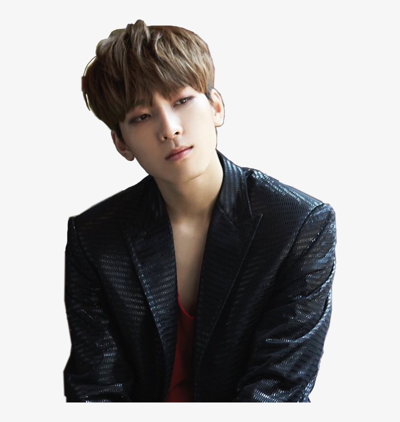 Resultado De Imagen Para Wonwoo De Seventeen - Wonwoo Png, transparent png #5556345