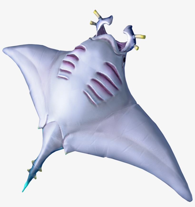Raw Manta Ray Detail, transparent png #5556393