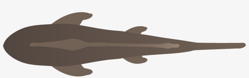 Because We Weren't Able To Computationally Tell Where - Cat Jumps, transparent png #5557067