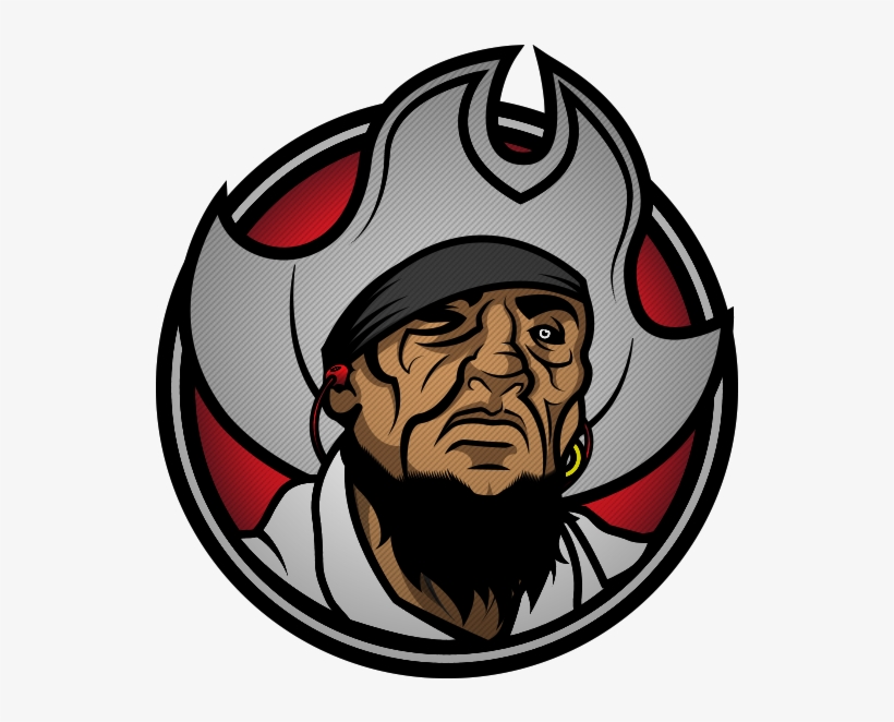 Record Raiders Logo - Illustration, transparent png #5558827