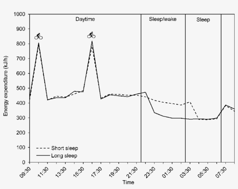 Energy Expenditure Profile From The Calorimetric Chamber - Fairview Park, transparent png #5559629