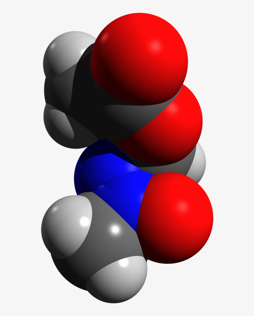 Laboratory Rats Are Used In Some Animal Models Of Schizophrenia - Methylazoxymethanol Acetate, transparent png #5560021
