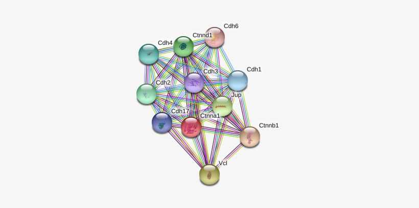 Circle, transparent png #5560422
