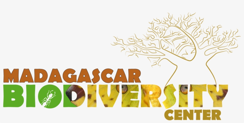 Picture - Madagascar Biodiversity Center, transparent png #5560904