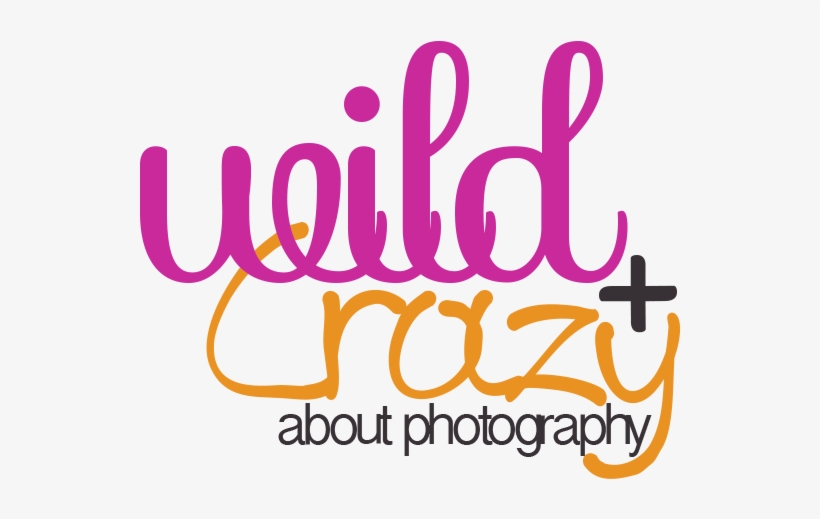 Png Photographers Transparent Reuters Logo Newspictures - Graphics, transparent png #5561310