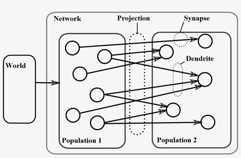 A Neural Network Is Defined As A Collection Of Interconnected - Artificial Neural Network, transparent png #5561596