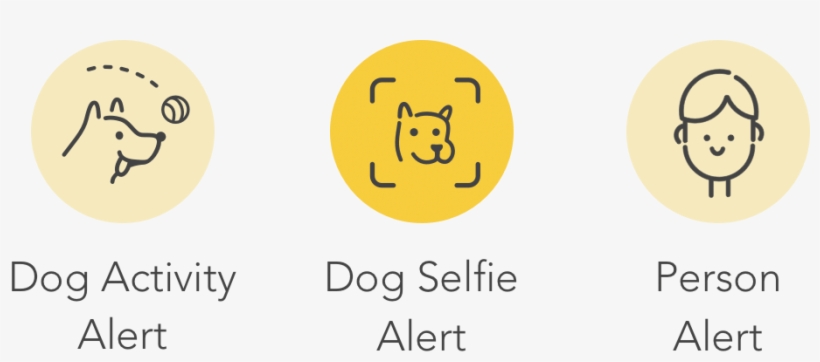 Unlike Other Cameras That Send General Sound And Motion - Selfie, transparent png #5561707